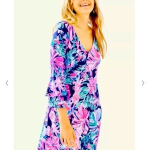Raina lilly pulitzer dress